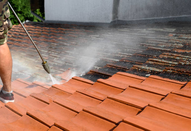 Best Commercial Pressure Washing  in Riverview, MI