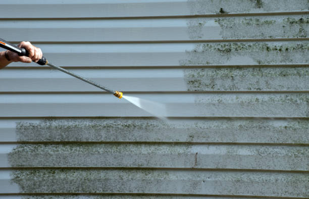 Best Residential Pressure Washing Services  in Riverview, MI