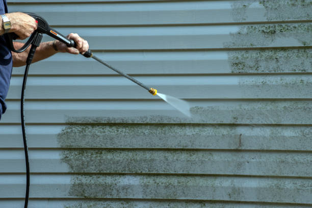 Best Local Pressure Washing Services  in Riverview, MI