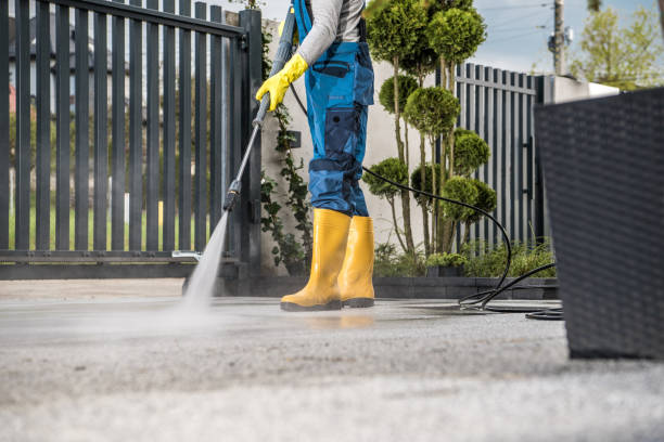 Best Roof Power Washing Services  in Riverview, MI