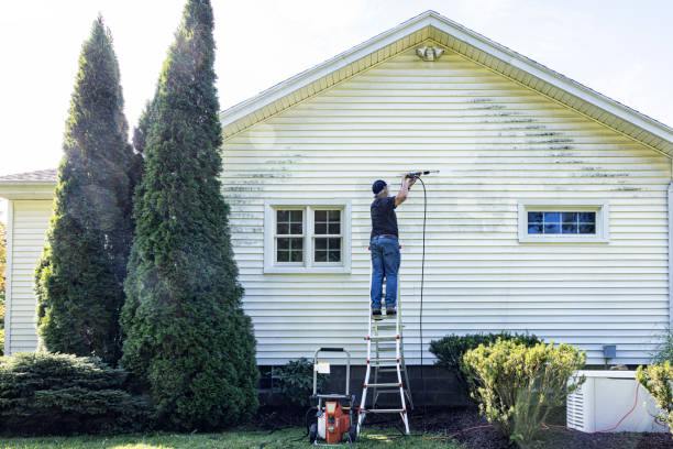 Best Pressure Washing Contractors  in Riverview, MI