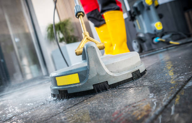Best Power Washing Near Me  in Riverview, MI