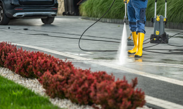 Best Roof Pressure Washing  in Riverview, MI