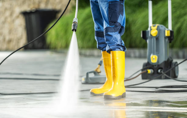 Best Power Washing Near Me  in Riverview, MI