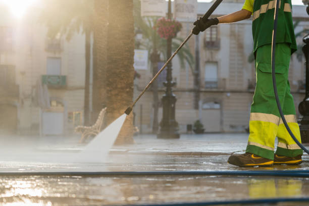 Best House Pressure Washing  in Riverview, MI