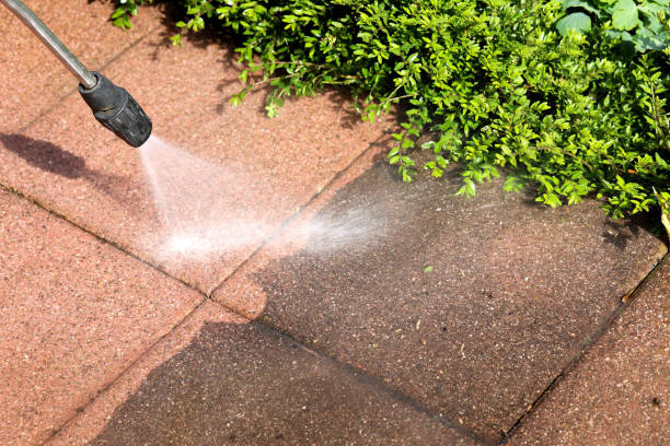 Best Pressure Washing Company Near Me  in Riverview, MI