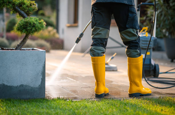 Best Exterior Home Cleaning  in Riverview, MI